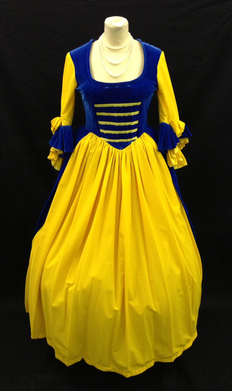 french revolution 18th C