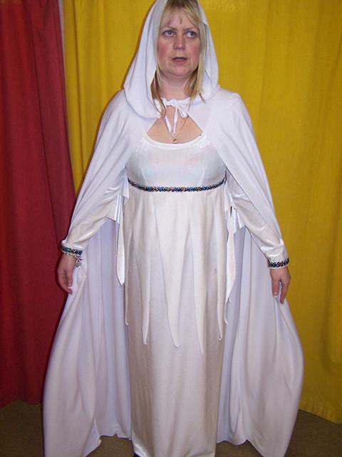 medieval princess costume (HIRE ONLY)
