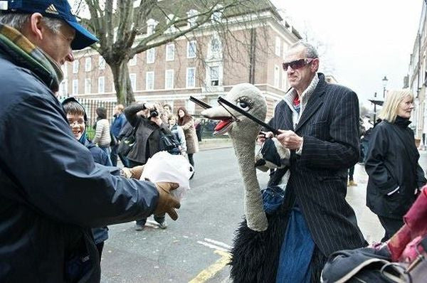 ostrich