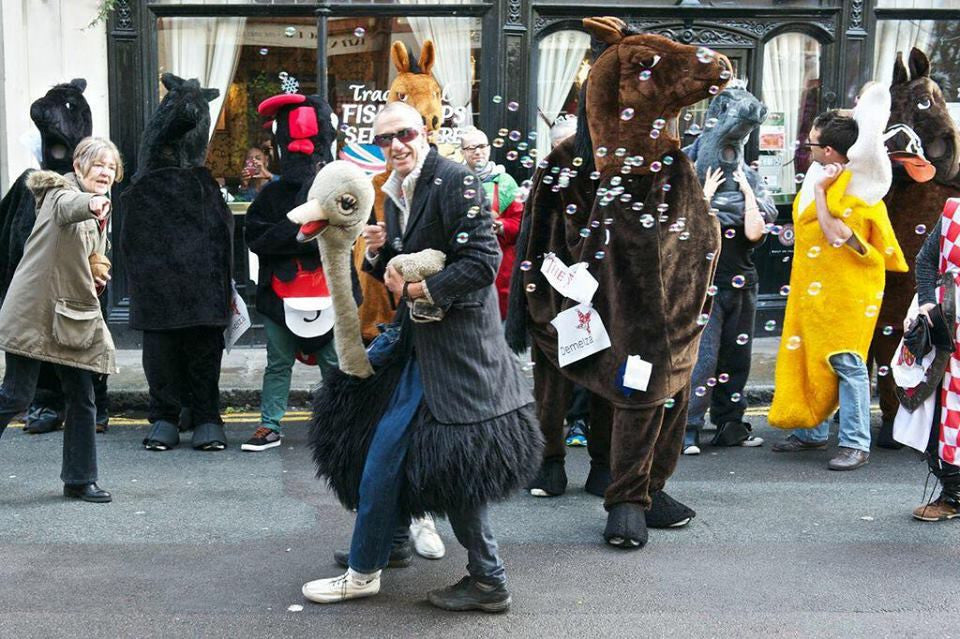 panto horse race