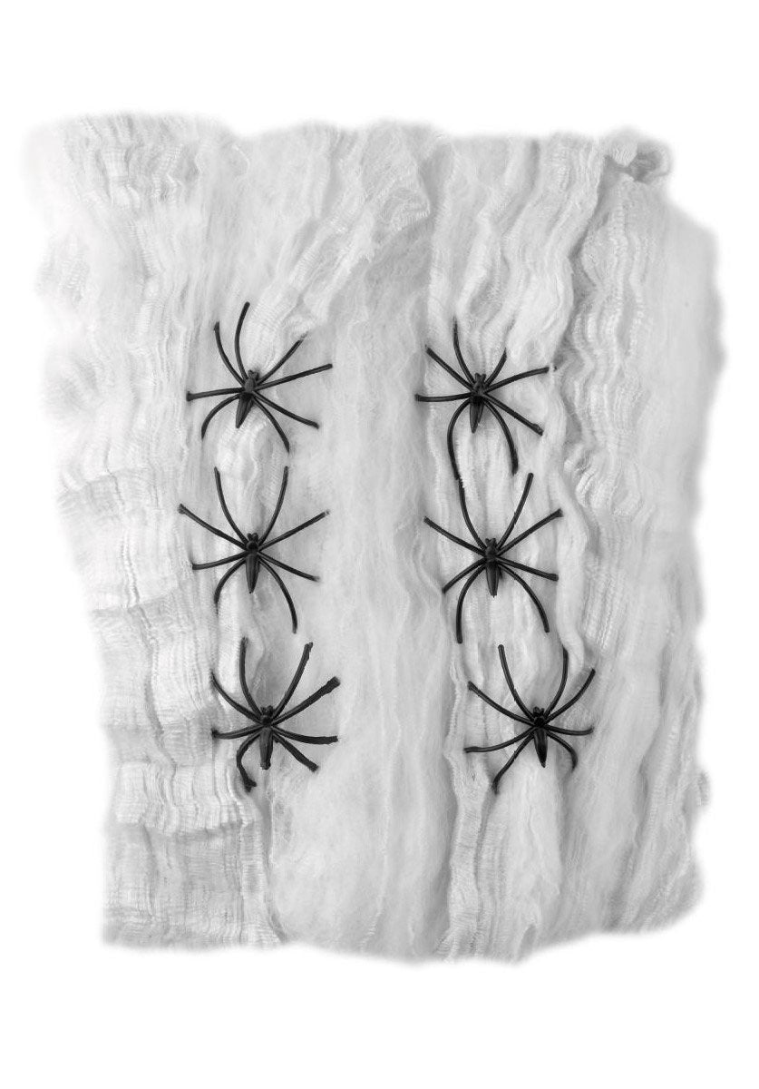 Medium Spider Web Decoration